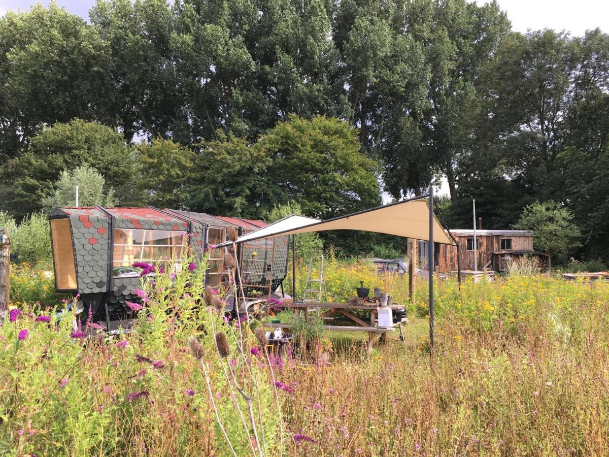 Amsterdam Farm Lodge Εξωτερικό φωτογραφία