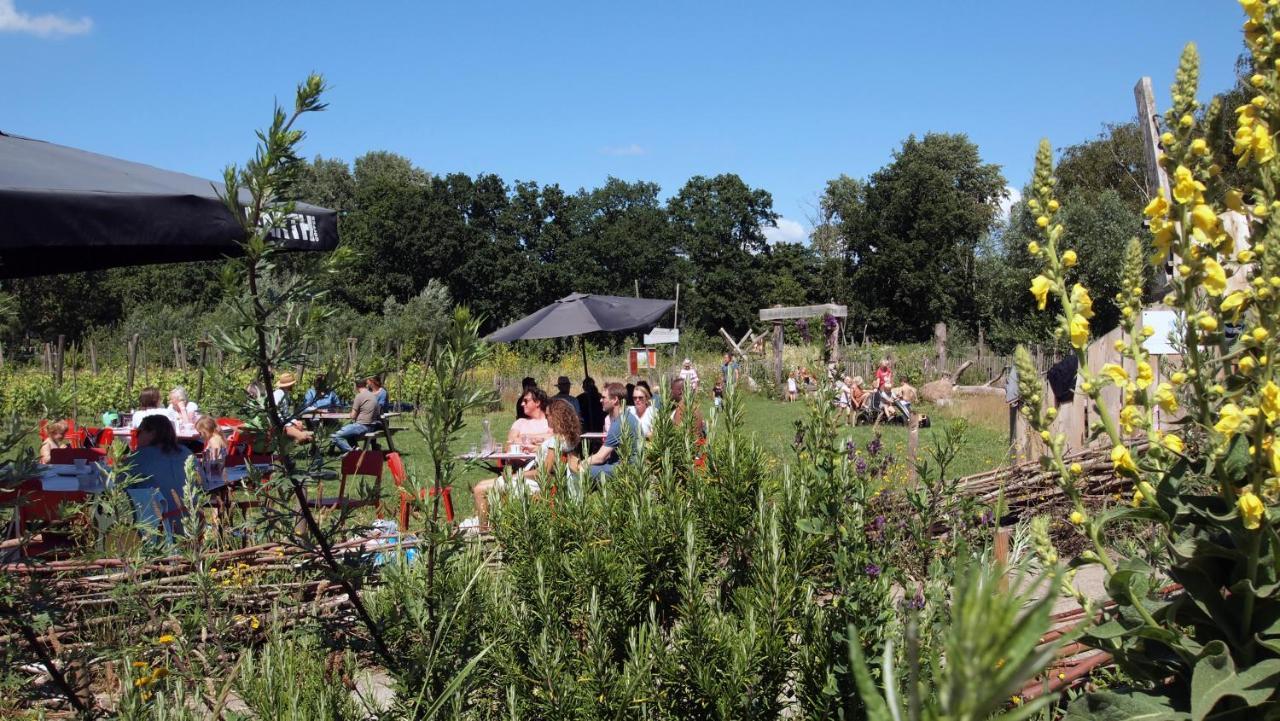 Amsterdam Farm Lodge Εξωτερικό φωτογραφία