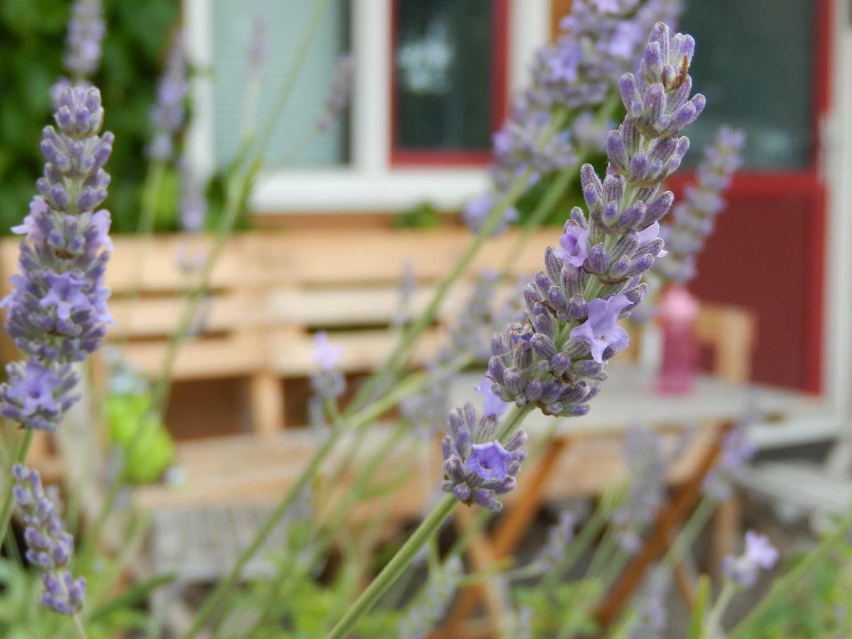 Amsterdam Farm Lodge Εξωτερικό φωτογραφία